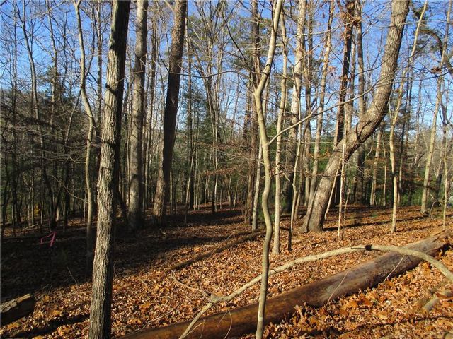 0 Huron Court, Ellijay, GA 30540
