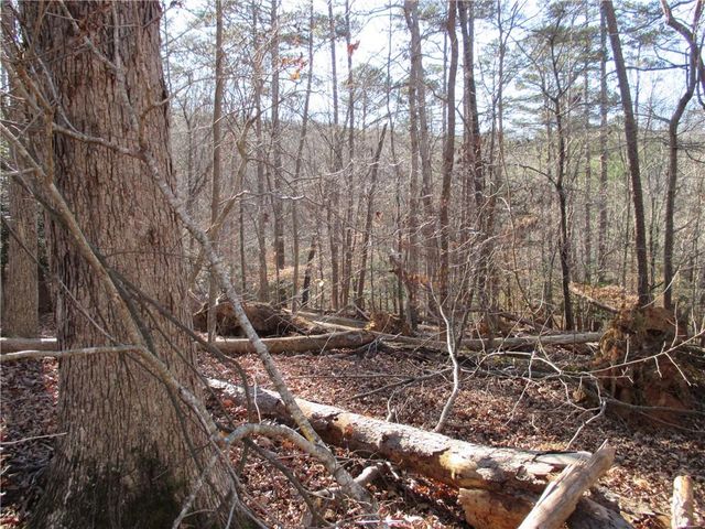 0 Huron Court, Ellijay, GA 30540