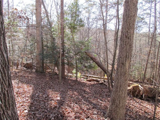 0 Huron Court, Ellijay, GA 30540