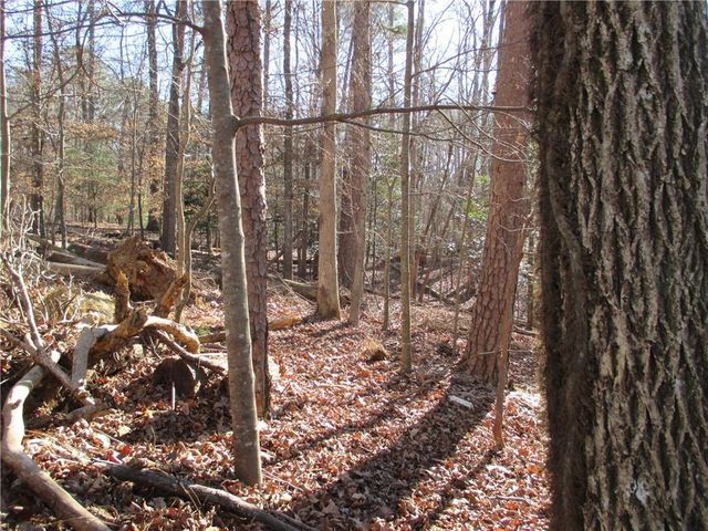 0 Huron Court, Ellijay, GA 30540