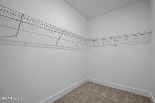 103 Umbrella Palm Drive, Hampstead, NC 28443