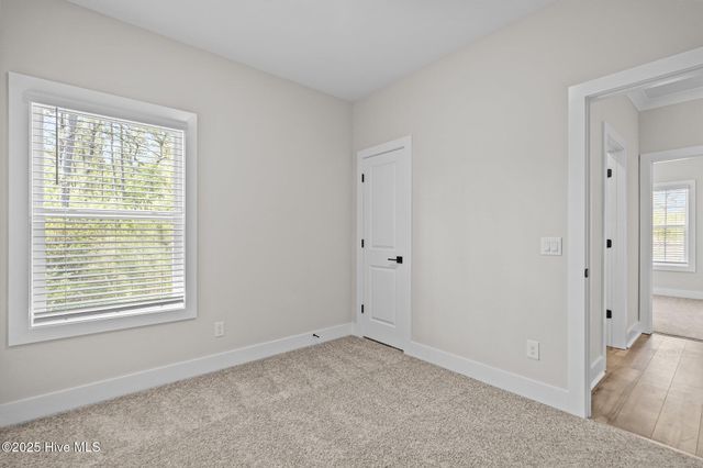 103 Umbrella Palm Drive, Hampstead, NC 28443