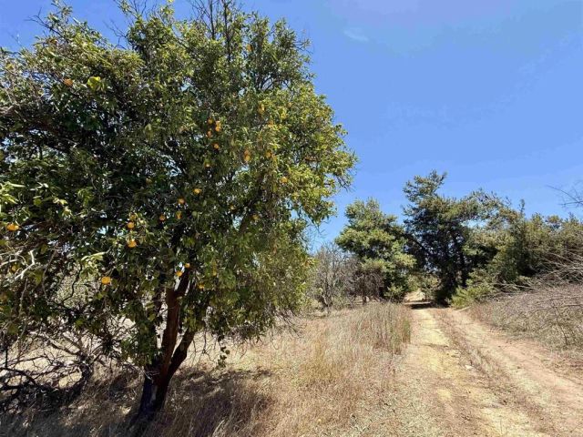 9927 Modrigan, Fallbrook, CA 92028