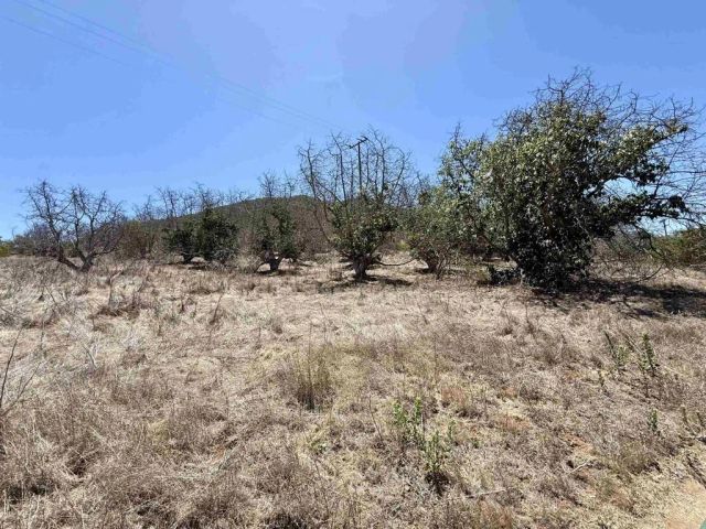 9927 Modrigan, Fallbrook, CA 92028