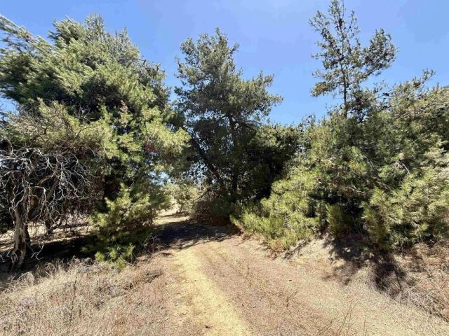 9927 Modrigan, Fallbrook, CA 92028