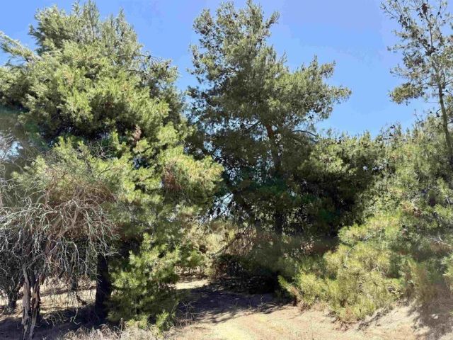 9927 Modrigan, Fallbrook, CA 92028