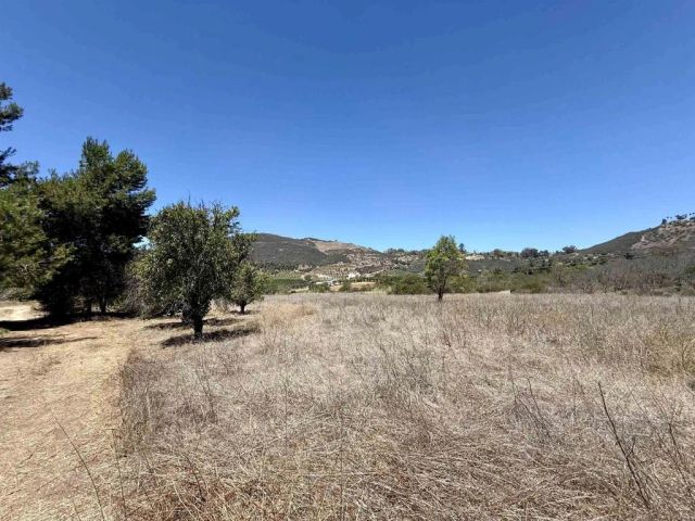 9927 Modrigan, Fallbrook, CA 92028