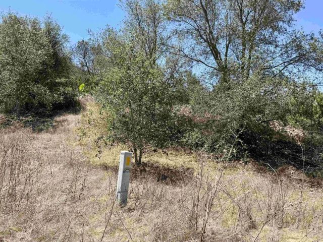 9927 Modrigan, Fallbrook, CA 92028