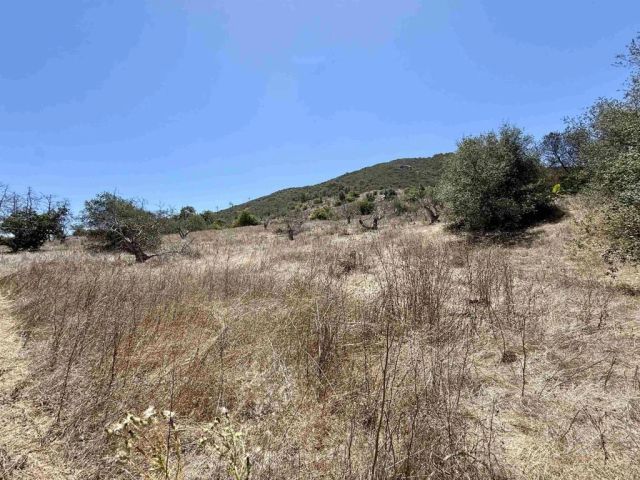 9927 Modrigan, Fallbrook, CA 92028