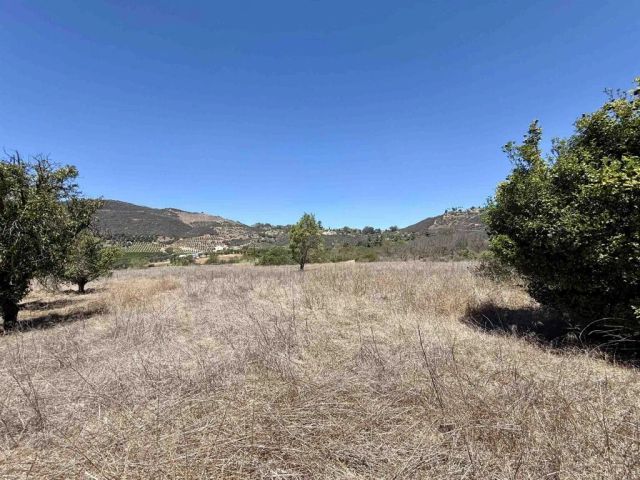 9927 Modrigan, Fallbrook, CA 92028