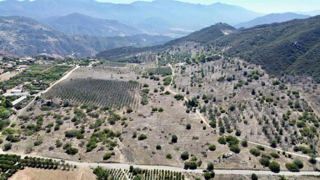 9927 Modrigan, Fallbrook, CA 92028