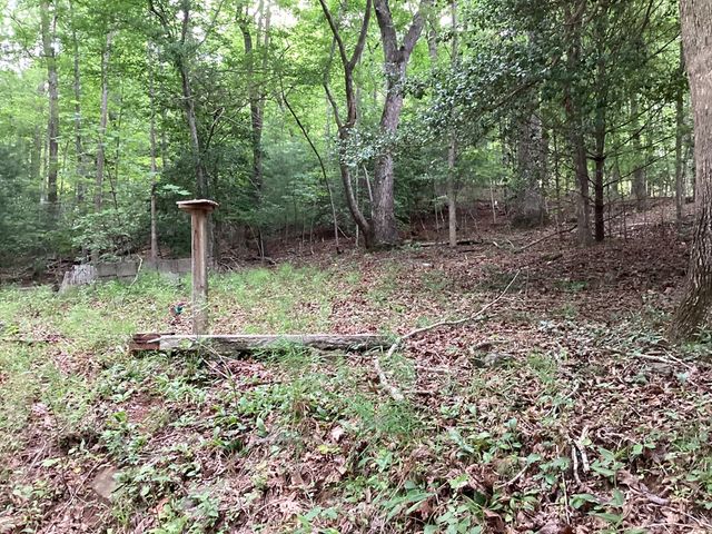4302 Rock Creek Road, Hiawassee, GA 30546