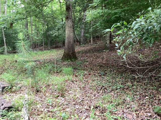 4302 Rock Creek Road, Hiawassee, GA 30546