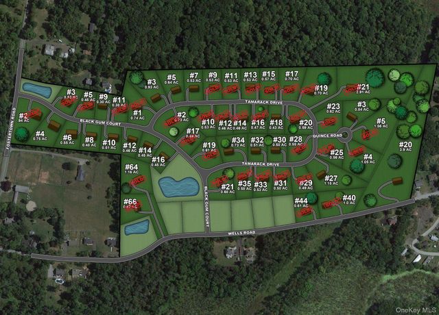 6 Black Gum Court, Newburgh, NY 12550