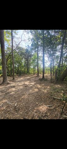 TBD Bear Hollow, Cleveland, TX 77328