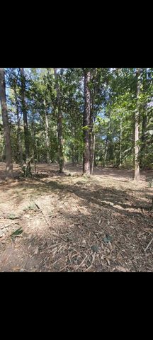 TBD Bear Hollow, Cleveland, TX 77328
