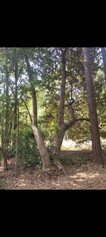 TBD Bear Hollow, Cleveland, TX 77328