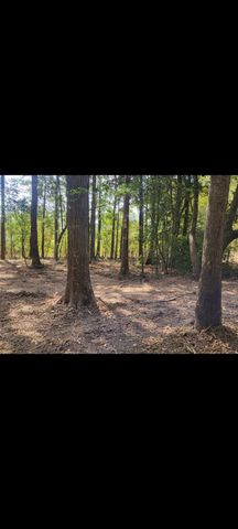 TBD Bear Hollow, Cleveland, TX 77328