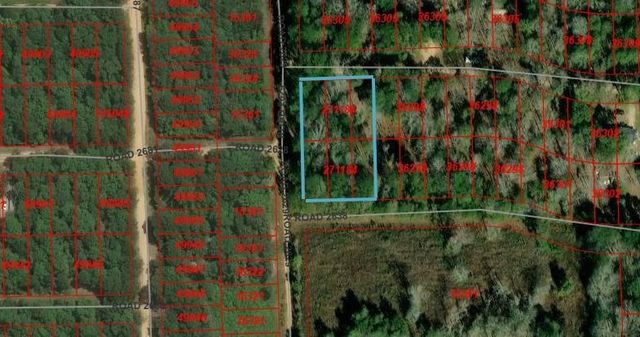 TBD Bear Hollow, Cleveland, TX 77328