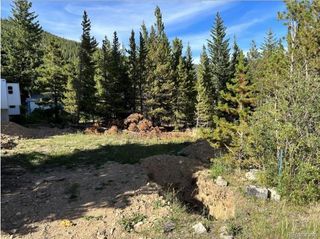 343 Aspen Road, Idaho Springs, CO 80452