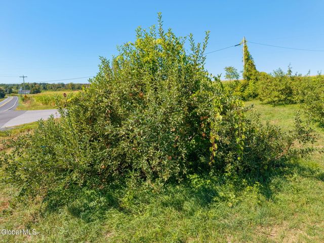 5635 NY-40, Argyle, NY 12809