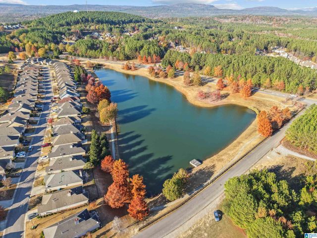 1077 FAIRBANK LANE, Chelsea, AL 35043