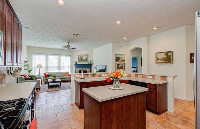 20007 Alcea Court, Spring, TX 77379