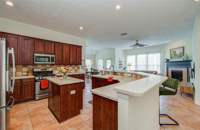 20007 Alcea Court, Spring, TX 77379