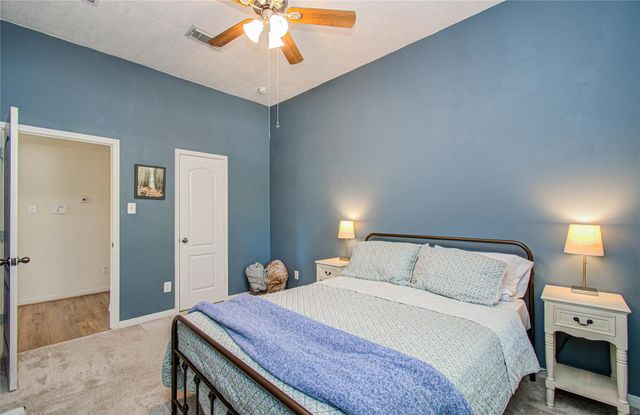 20007 Alcea Court, Spring, TX 77379