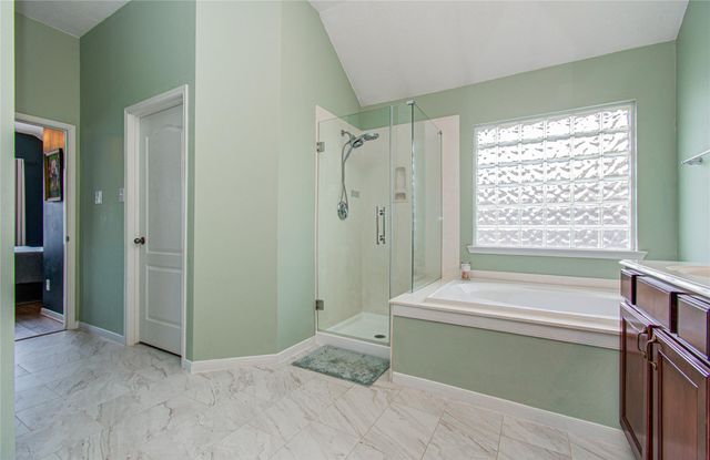 20007 Alcea Court, Spring, TX 77379