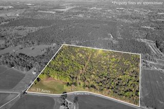 37 Acres Carson Avenue, Crandall, GA 30711