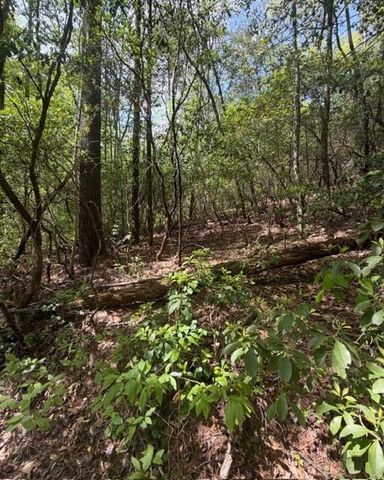348 Hemlock Trail, Ellijay, GA 30540