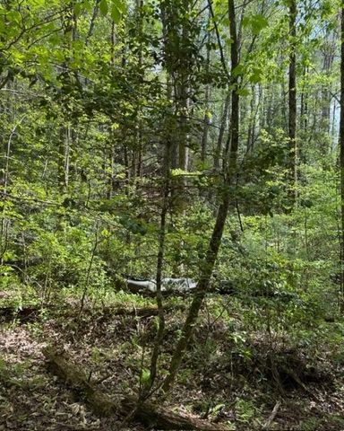 348 Hemlock Trail, Ellijay, GA 30540
