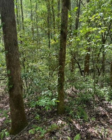 348 Hemlock Trail, Ellijay, GA 30540