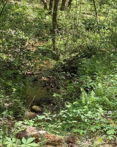 348 Hemlock Trail, Ellijay, GA 30540