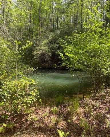 348 Hemlock Trail, Ellijay, GA 30540
