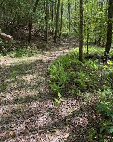 348 Hemlock Trail, Ellijay, GA 30540