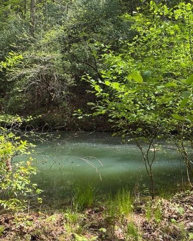 348 Hemlock Trail, Ellijay, GA 30540