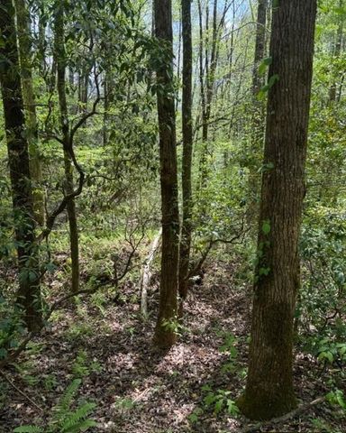348 Hemlock Trail, Ellijay, GA 30540