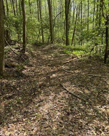348 Hemlock Trail, Ellijay, GA 30540
