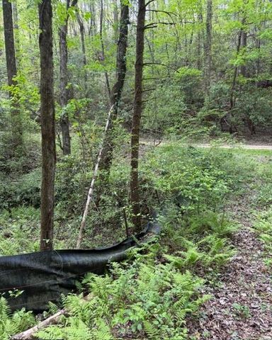 348 Hemlock Trail, Ellijay, GA 30540