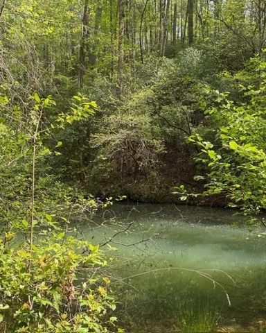 348 Hemlock Trail, Ellijay, GA 30540