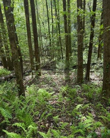 348 Hemlock Trail, Ellijay, GA 30540