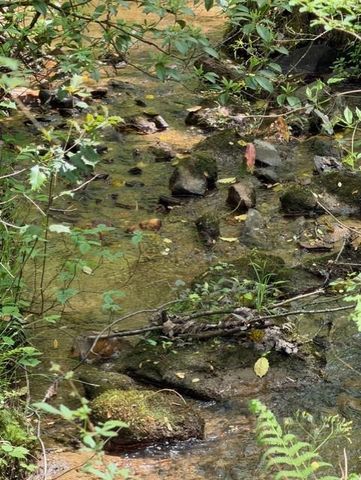 348 Hemlock Trail, Ellijay, GA 30540