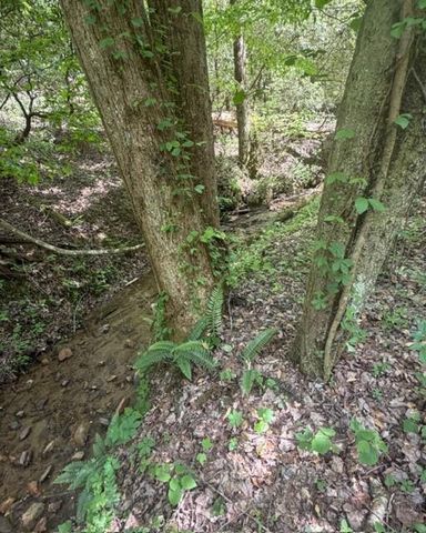 348 Hemlock Trail, Ellijay, GA 30540