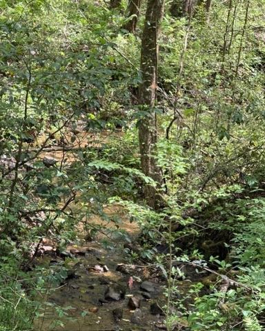 348 Hemlock Trail, Ellijay, GA 30540