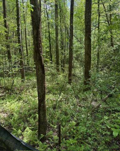 348 Hemlock Trail, Ellijay, GA 30540