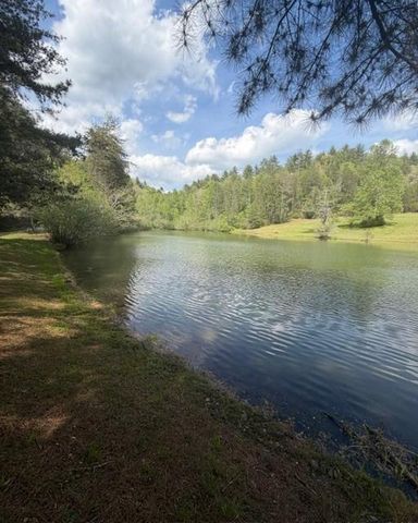 348 Hemlock Trail, Ellijay, GA 30540