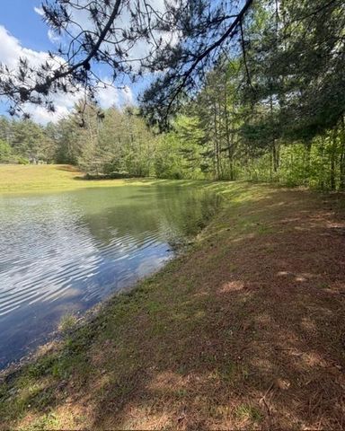 348 Hemlock Trail, Ellijay, GA 30540