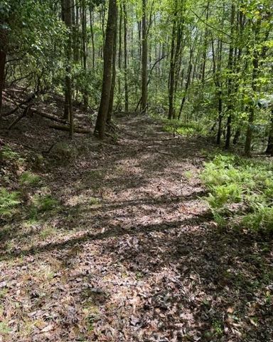 348 Hemlock Trail, Ellijay, GA 30540